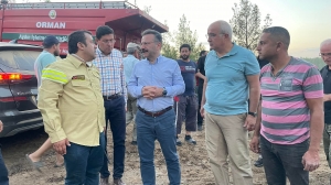 Aydın'da orman yangını (2)(Galeri)