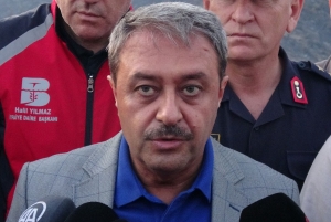 Balıkesir'de orman yangını (4)(Galeri)