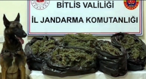 Bitlis’te 10 kilo 200 gram skunk ele geçirildi(Galeri)