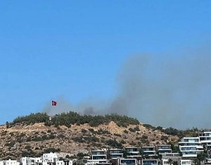 Bodrum'da makilik yangını(Galeri)