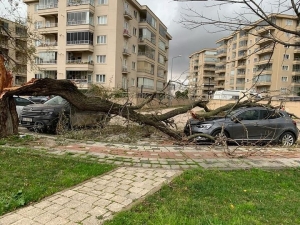 Bursa'da fırtına; deniz otobüsü seferleri iptal edildi (2)(Galeri)