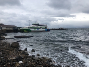 Bursa'da fırtına; deniz otobüsü seferleri iptal edildi(Galeri)