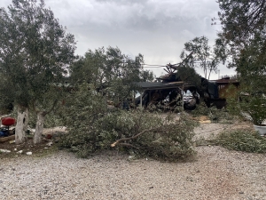 Çanakkale'de lodos; elektrik direkleri devrildi, çatılar uçtu (2)(Galeri)