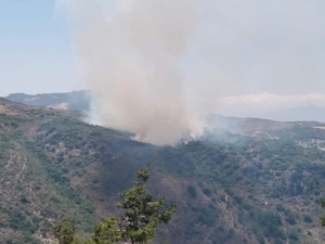 Hatay’da makilikte yangın (Galeri)