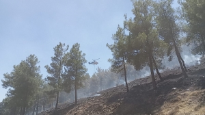 Hatay'da örtü yangınında 30 dönüm alan zarar gördü(Galeri)