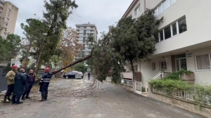 Kadıköy'de ağaç binanın üzerine devrildi (Galeri)