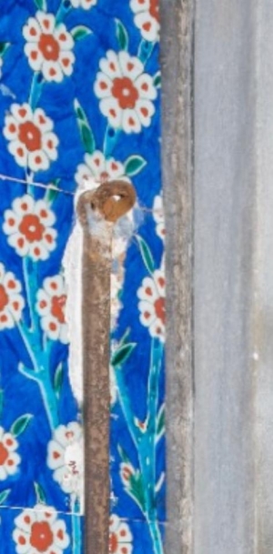 Milli Saraylar'dan 'çini' açıklaması (Galeri)