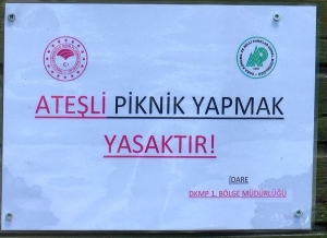 Pikniklerde semaverlerin yerini termoslar, ormanların yerini otoyol kenarları aldı(Galeri)