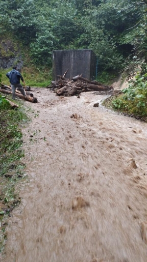 Rize'de şidetli sağanak heyelana neden o..