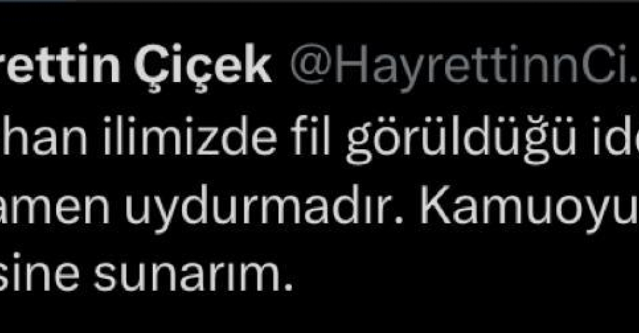 Ardahan’da fil alarmı: Jandarma arazide fil arıyor (2)