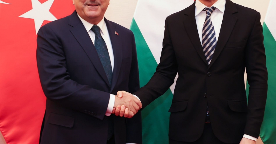 Bakan Çavuşoğlu, Macar mevkidaşı Szijjarto ile görüştü