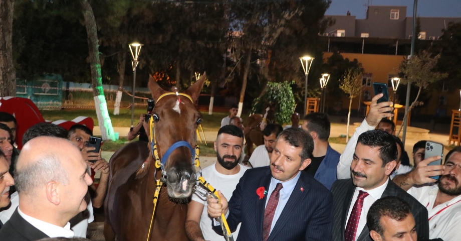 Bakan Soylu’ya ‘Suruç’ isimli yarış atı hediye edildi