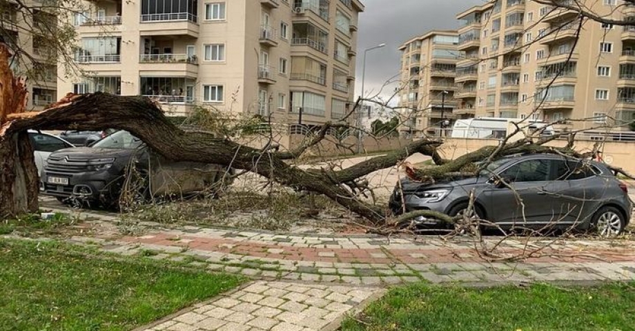 Bursa'da fırtına; deniz otobüsü seferleri iptal edildi (2)