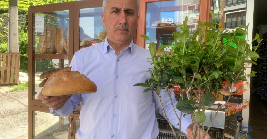 Çay üreticileri, 2023 yılı yaş çay alım taban fiyatını değerlendirdi