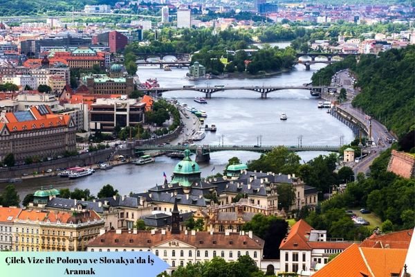 Çilek Vize ile Polonya ve Slovakya'da İş Aramak: Yeni Bir Hayata Başlamak İçin Altın Bir Fırsat