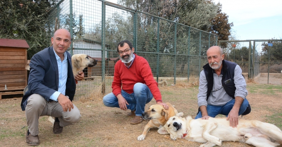 Datça'da, hayvan barınağına anlamlı destek