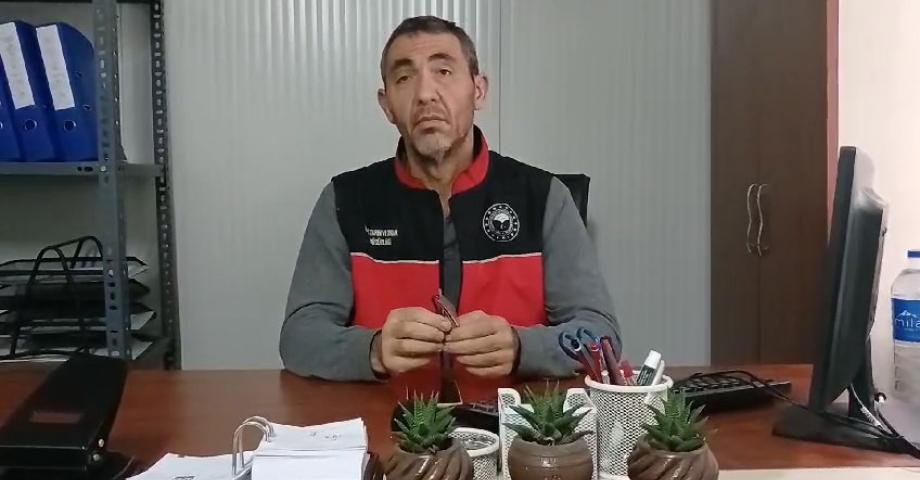 İskenderun'da denizden 3 yılda 50 bin balon balığı toplandı