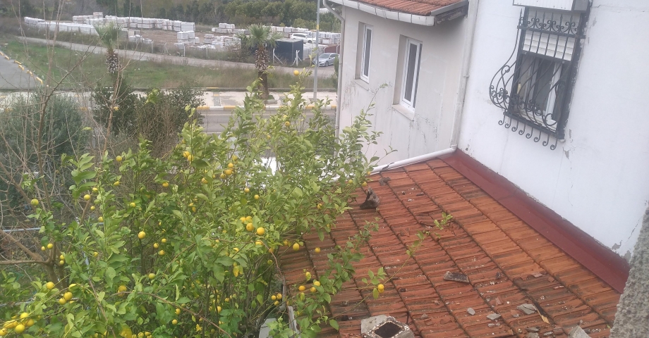 İzmir'de fırtınada zarar gören okulda eğitime 3 gün ara verildi