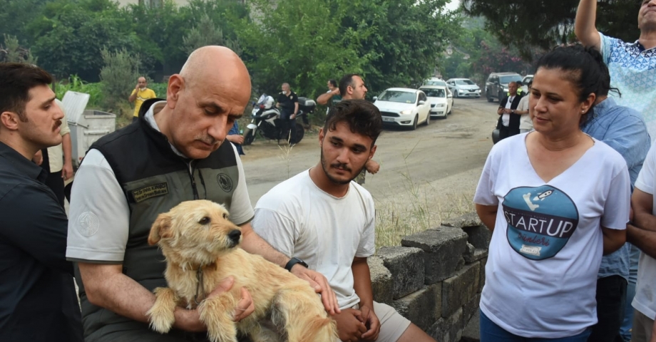 Marmaris'teki orman yangınında 2'nci gün; çıkış nedeni için özel ekip kuruldu (9)