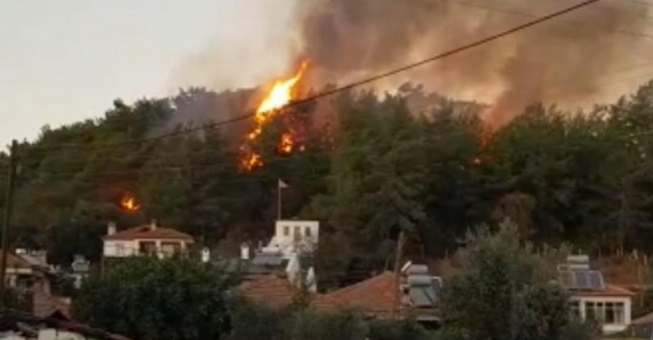 Muğla'da çıkan orman yangını büyümeden söndürüldü