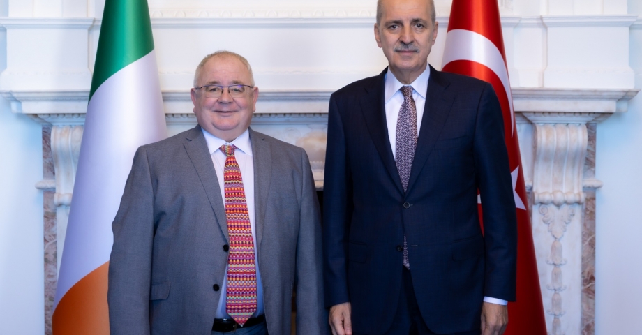 TBMM Başkanı Kurtulmuş, İrlanda Parlamentosu Temsilciler Meclisi Başkanı  Fearfhail ile görüştü