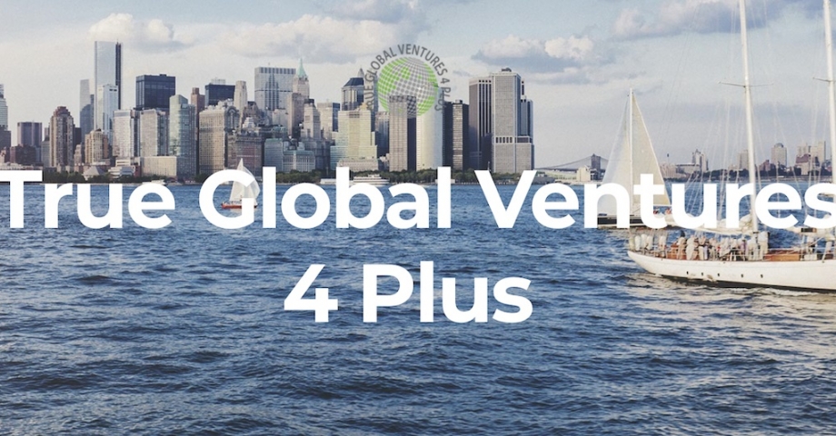 True Global Ventures, web3 lideri Animoca Brands'e 38 milyon dolar yatırım yaptı 