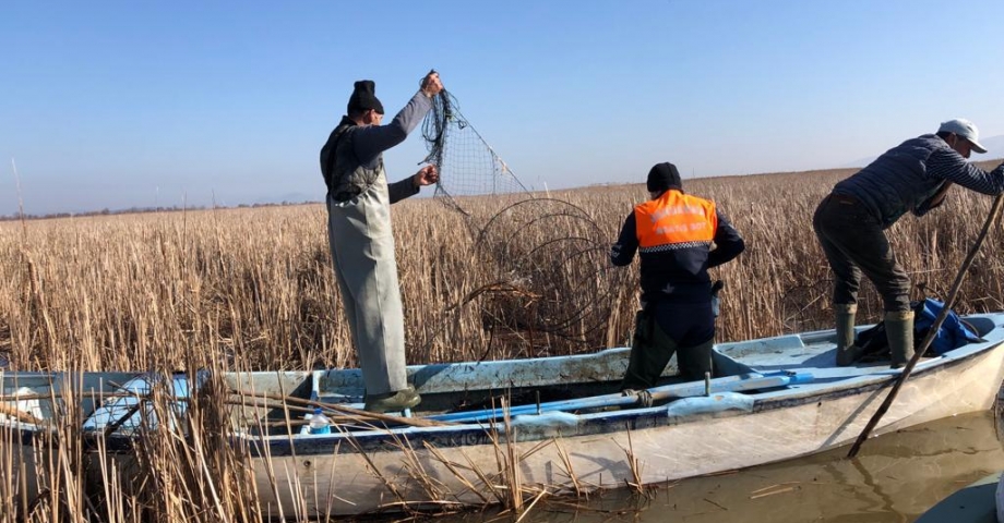 Ulubat gölünde pinter ile avlanılan 500 kilo balık ve 27 kaplumbağa doğaya bırakıldı
