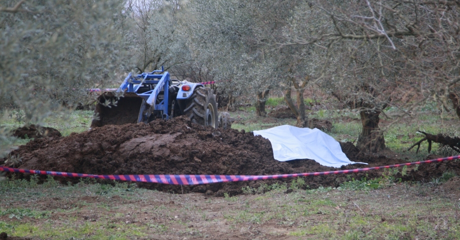Zeytinliğe getirilen gübrenin içinden ceset çıktı