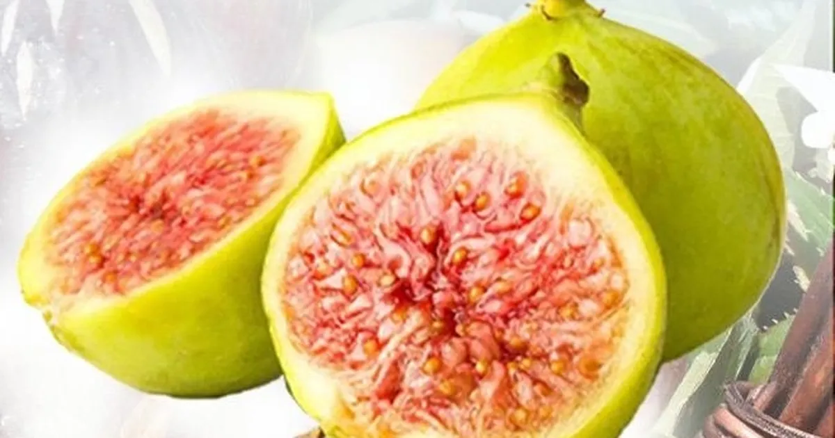 Balıkesir Büyükşehir'den incir fidanı desteği