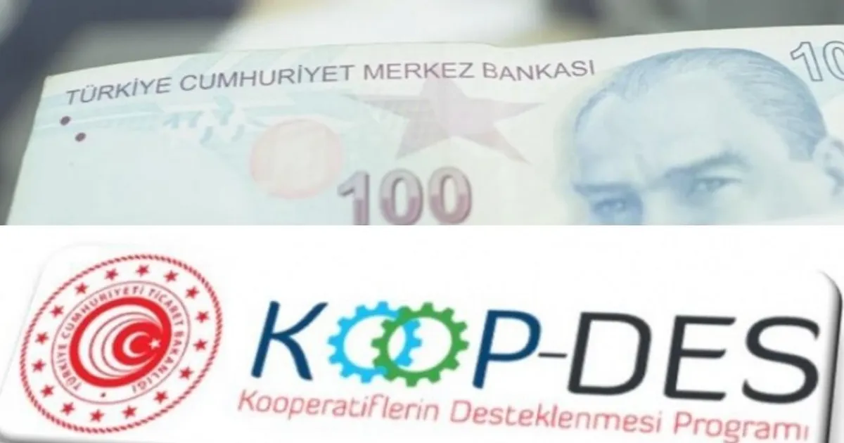 KOOP-DES Yönetmeliği’nde değişiklik Resmi Gazete'de