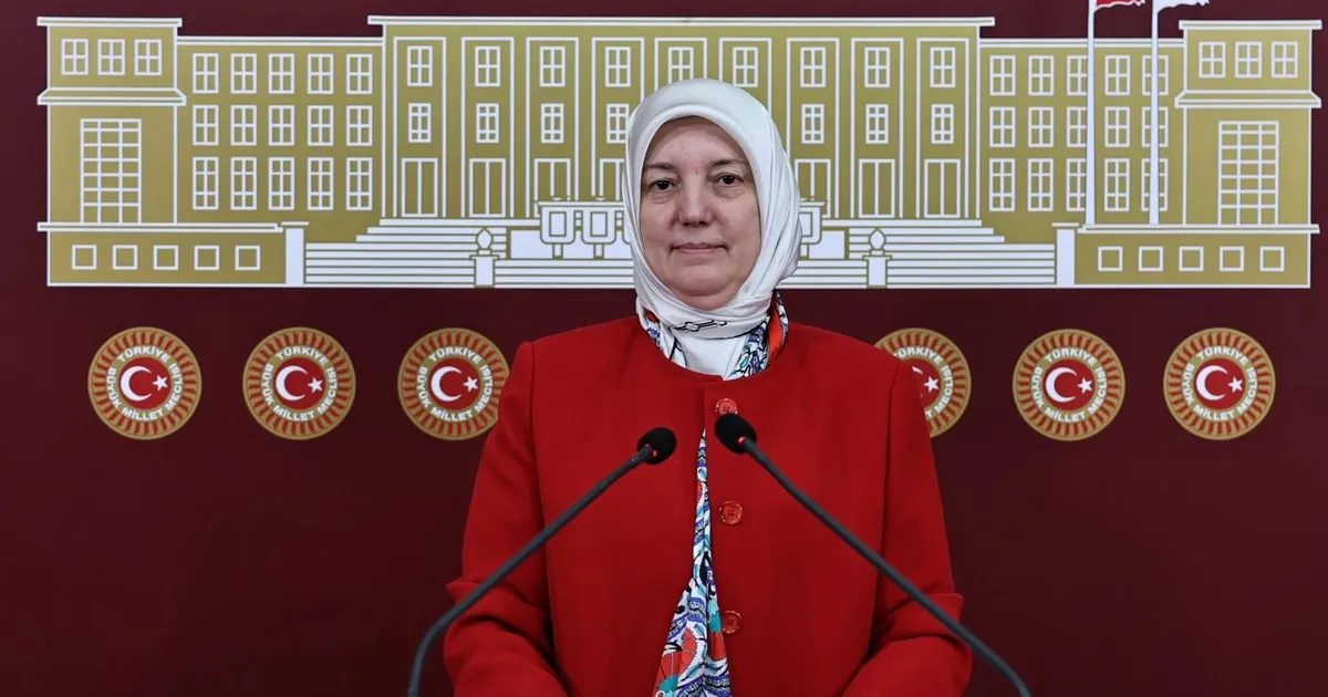 AK Partili Gözgeç’ten 28 Şubat mesajı