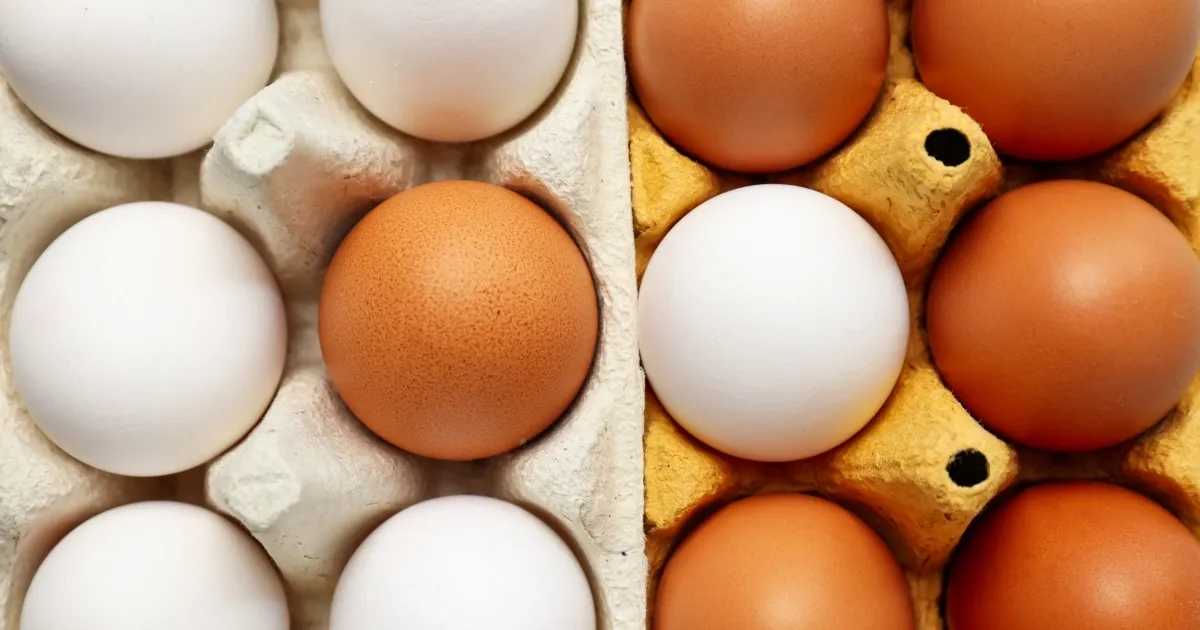 Yumurtanın doğrudan arzında limit artışı... Resmi Gazete'de yayımlandı