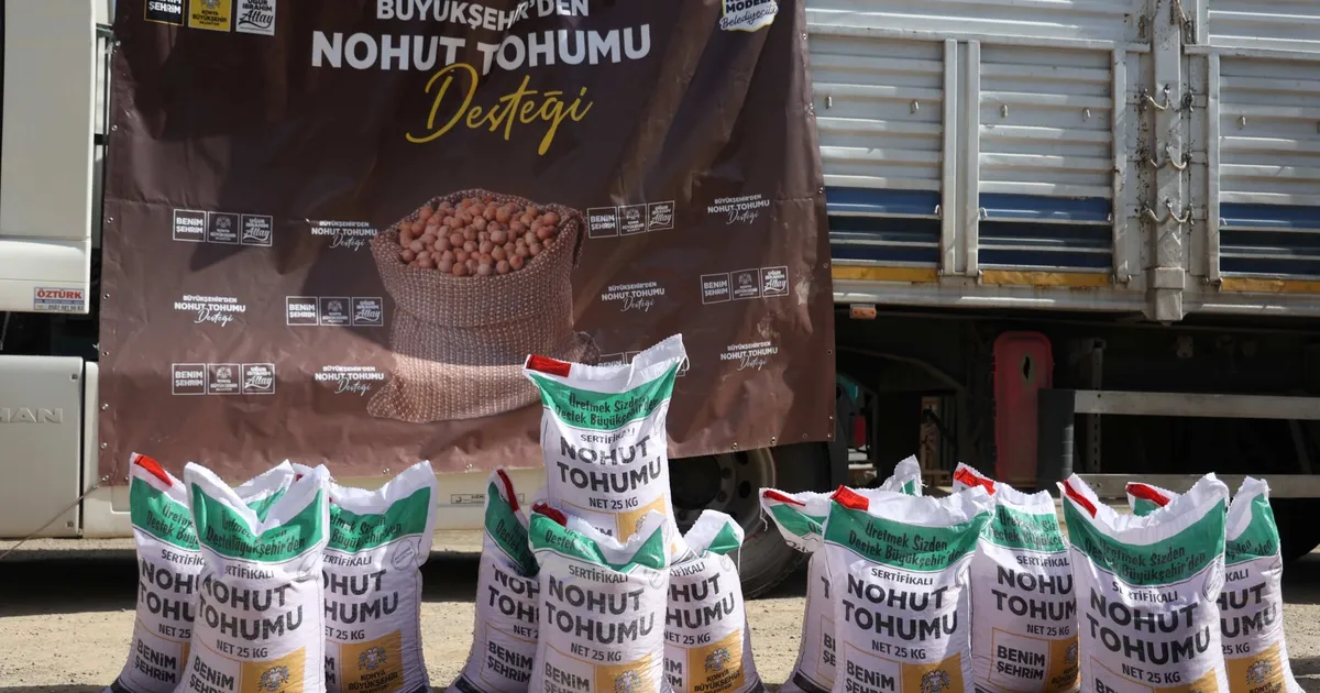 Konya az su isteyen ürünleri yaygınlaştırıyor... Yüzde 50 hibeli nohut tohumları dağıtılıyor
