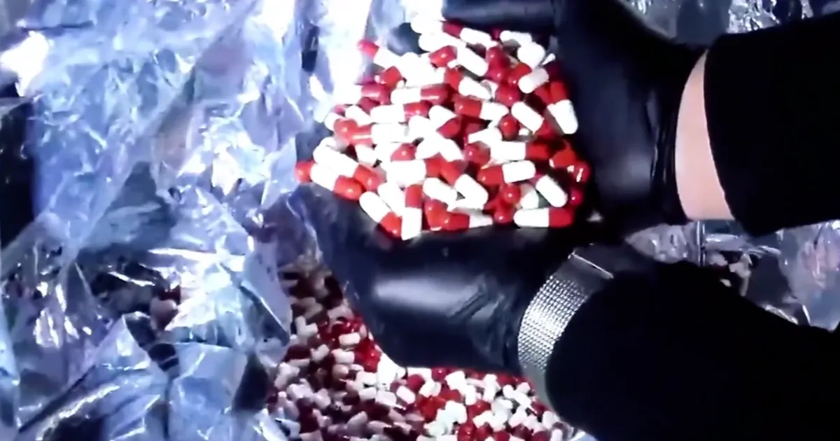 Sınırda ve limanda dev operasyon! 828 milyon TL’lik 484 kilo uyuşturucu ele geçirildi