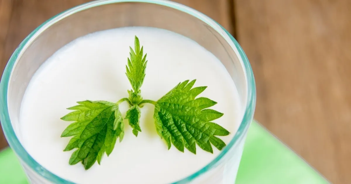 Ramazan’da susuz kalmayın... Süt ve ayran hidrasyonun gizli kahramanları