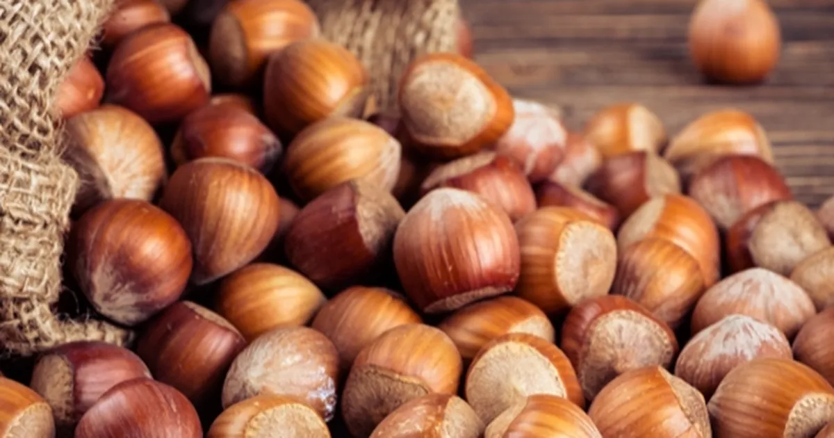TMO'dan 'kabuklu fındık' açıklaması: Satışımız ve hazırlığımız bulunmamaktadır