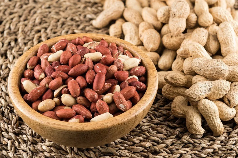 Kuruyemiş değil, bir baklagil: Yer fıstığı sağlığa gerçekten faydalı mı?