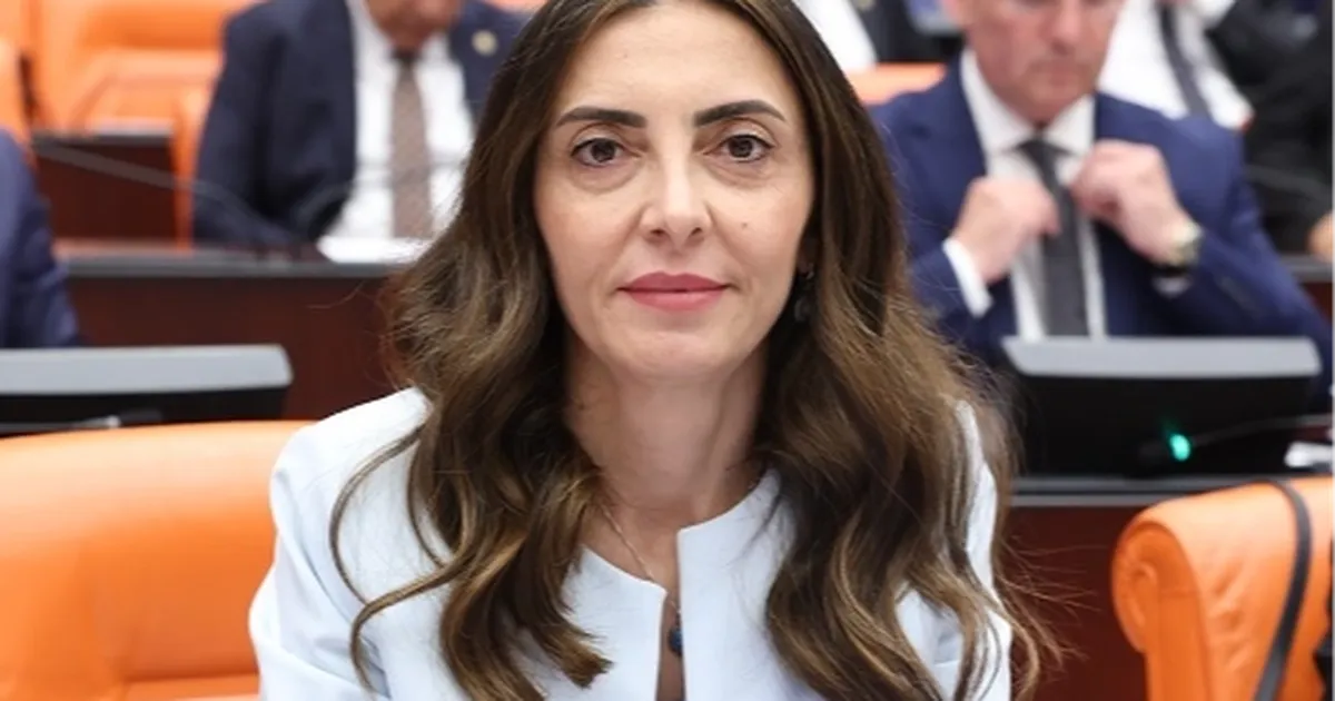 CHP’li Altaca Kayışoğlu'ndan 'alt komisyon' çağrısı