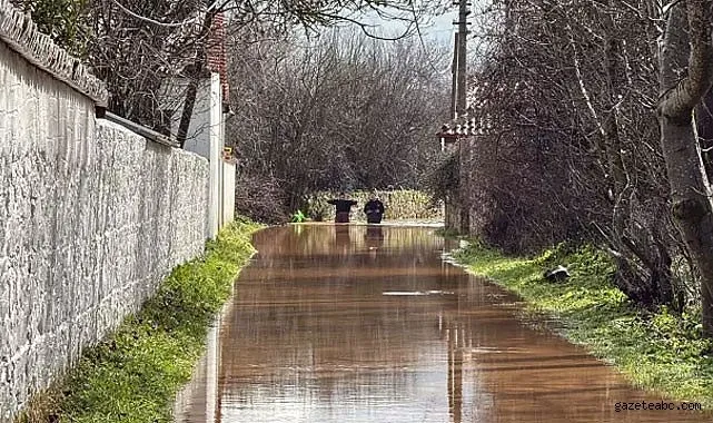 Kayıp Kadın Ağaca Asılı Bulundu