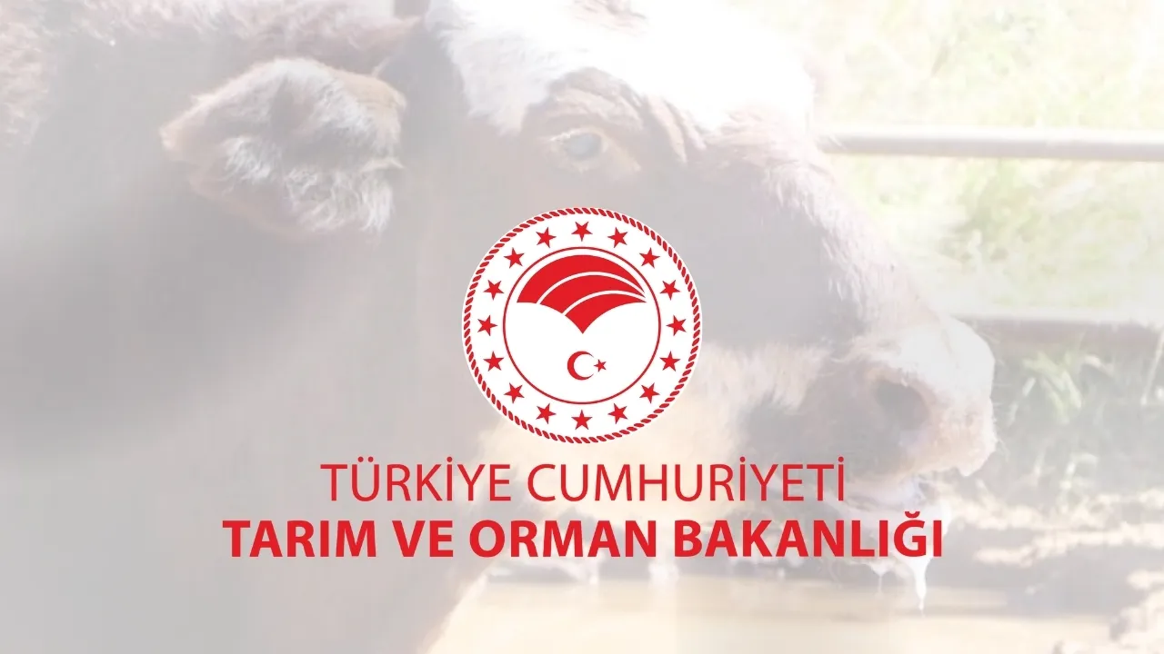 Tarım ve Orman Bakanlığı, şap hastalığının kontrol altına aldığını açıkladı
