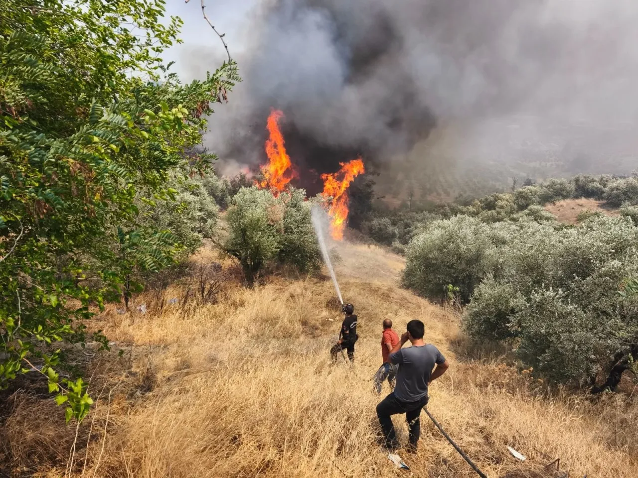 Orman gönüllülerine şehit statüsü getirildi