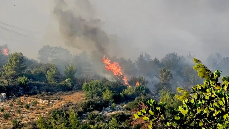 Küre Dağları Milli Parkı'nda orman yangını