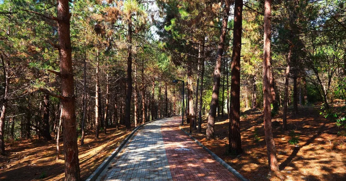 Sakaryalılar baharı ‘Huzur Koridoru’nda koşarak karşılayacak