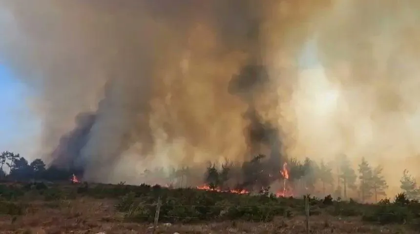 Hatay ve Mersin'deki orman yangınları kontrol altında