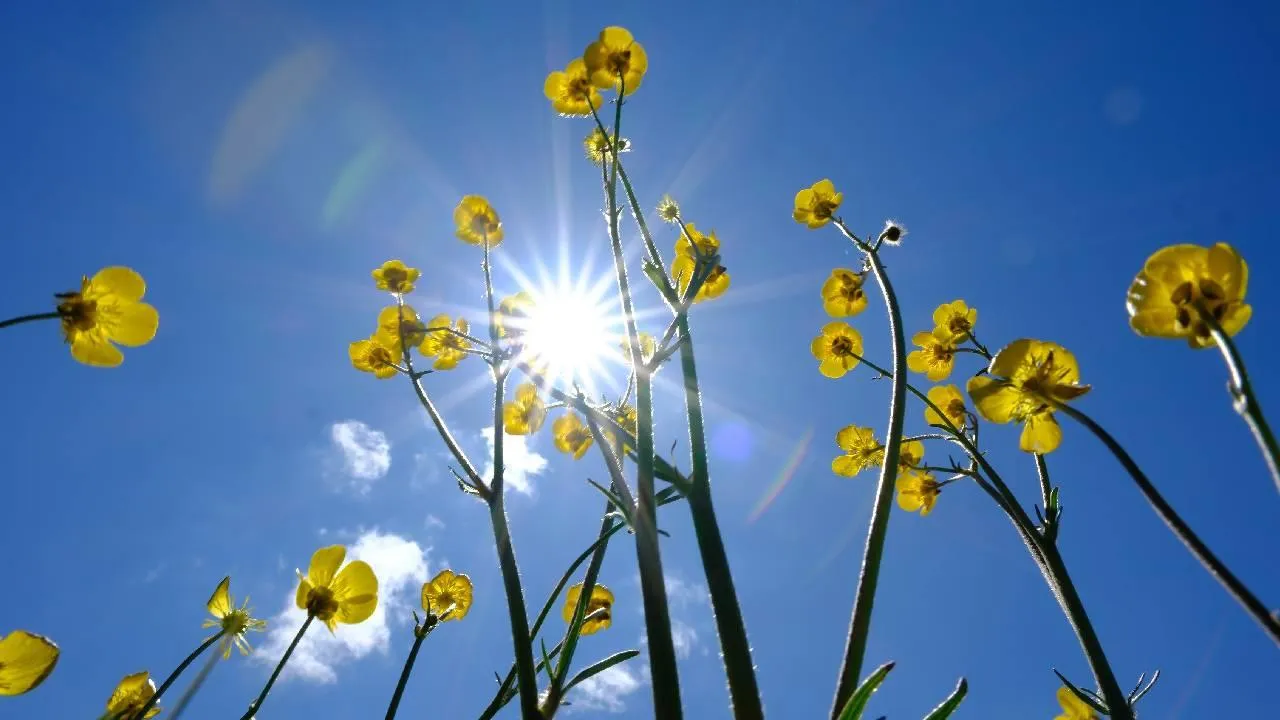 Hafta sonu sıcaklıklarda artış: İzmir 40 dereceyi görecek