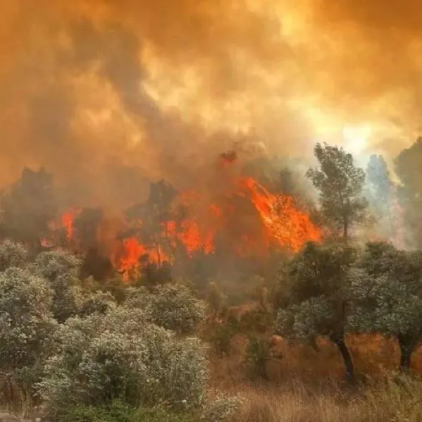Hatay Yayladağı’ndaki orman yangını kontrol altına alındı