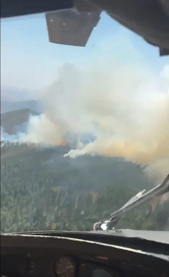 Çankırı’nın Yapraklı ilçesinde orman yangını: Müdahale sürüyor