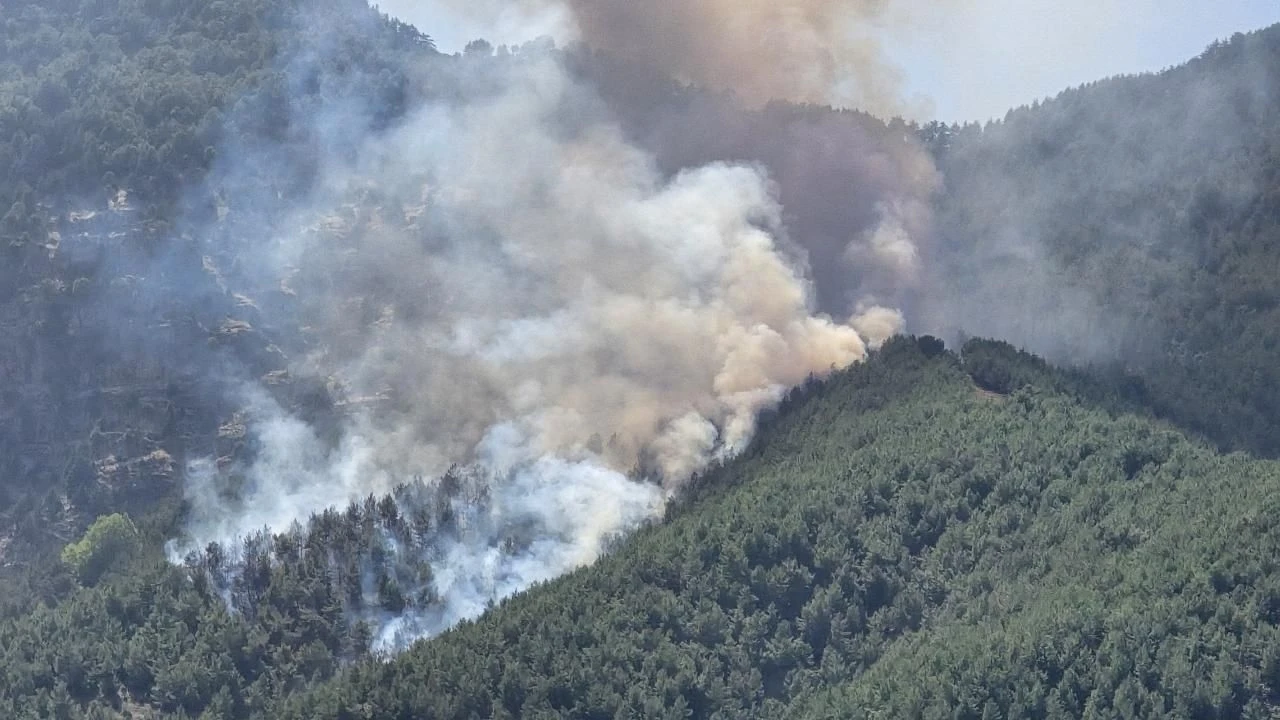 Muğla’daki orman yangınlarının yüzde 88’i insan kaynaklı