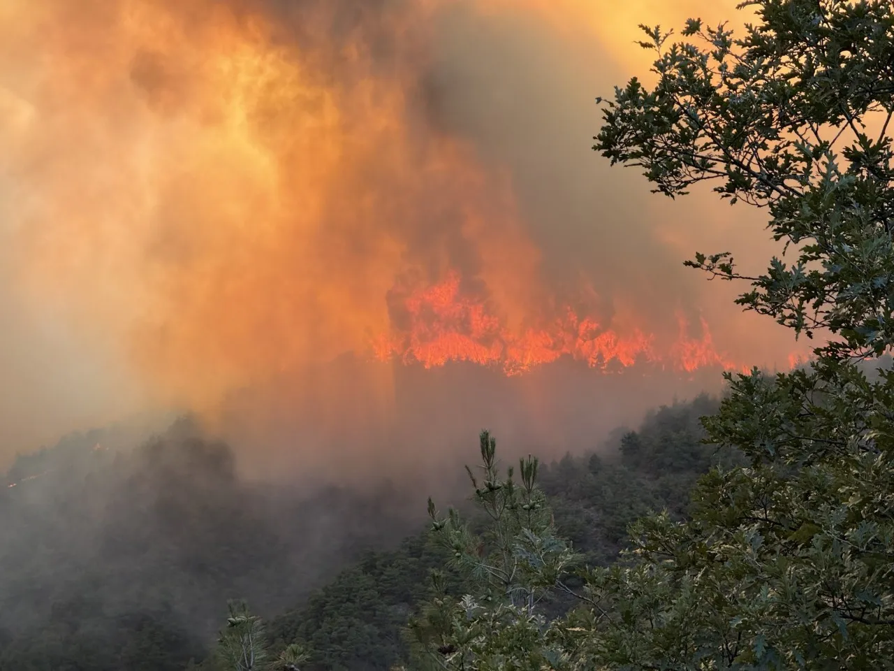Sakarya-Bilecik sınırındaki orman yangını 4. gününde