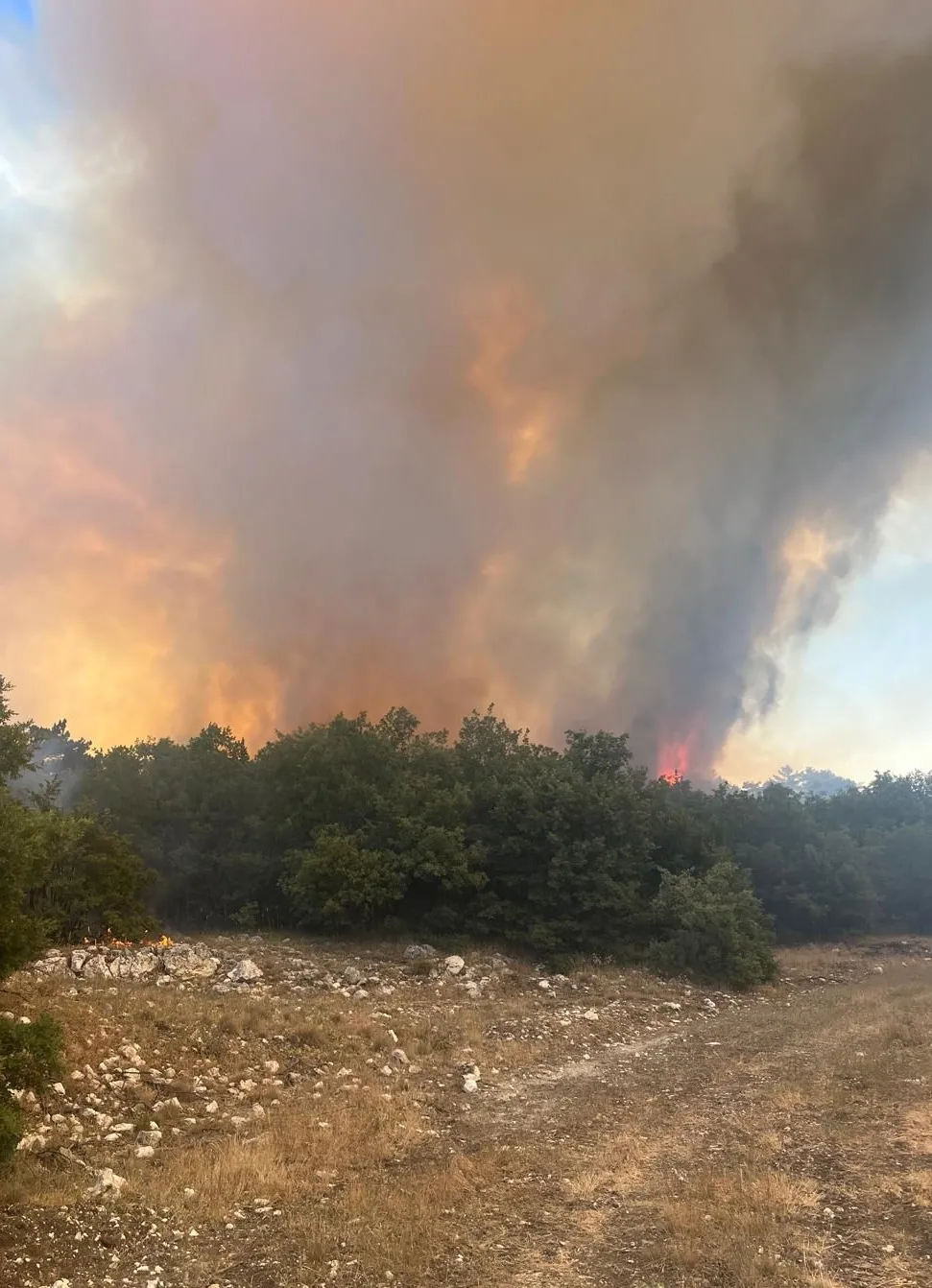 Eskişehir'in Seyitgazi ilçesinde orman yangınına müdahale sürüyor